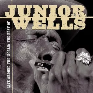 Junior.Wells-Live.Around.The.World-The.Best.Of-2002-320.KBPS-P2P