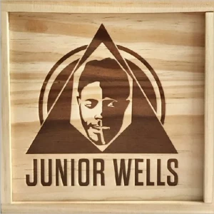 Junior.Wells-Sexy.Bitch-Box.Of.Blues-6CD-2018-320.KBPS-P2P