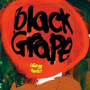 Black.Grape-Orange.Head-2024-MP3.320.KBPS-P2P