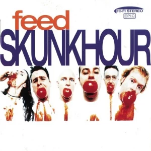 Skunkhour-Feed-Deluxe.Edition-2CD-1995-320.KBPS-P2P