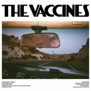 The.Vaccines-Pick-Up.Full.Of.Pink.Carnations-2024-MP3.320.KBPS-P2P